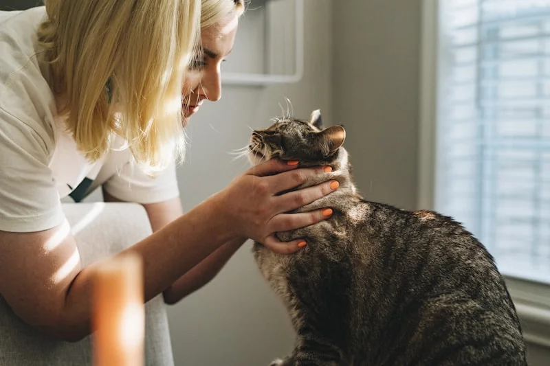 Exames Endocrinológicos Veterinários em Campinas - Clínica Bicho de Estimação Jardim Chapadão