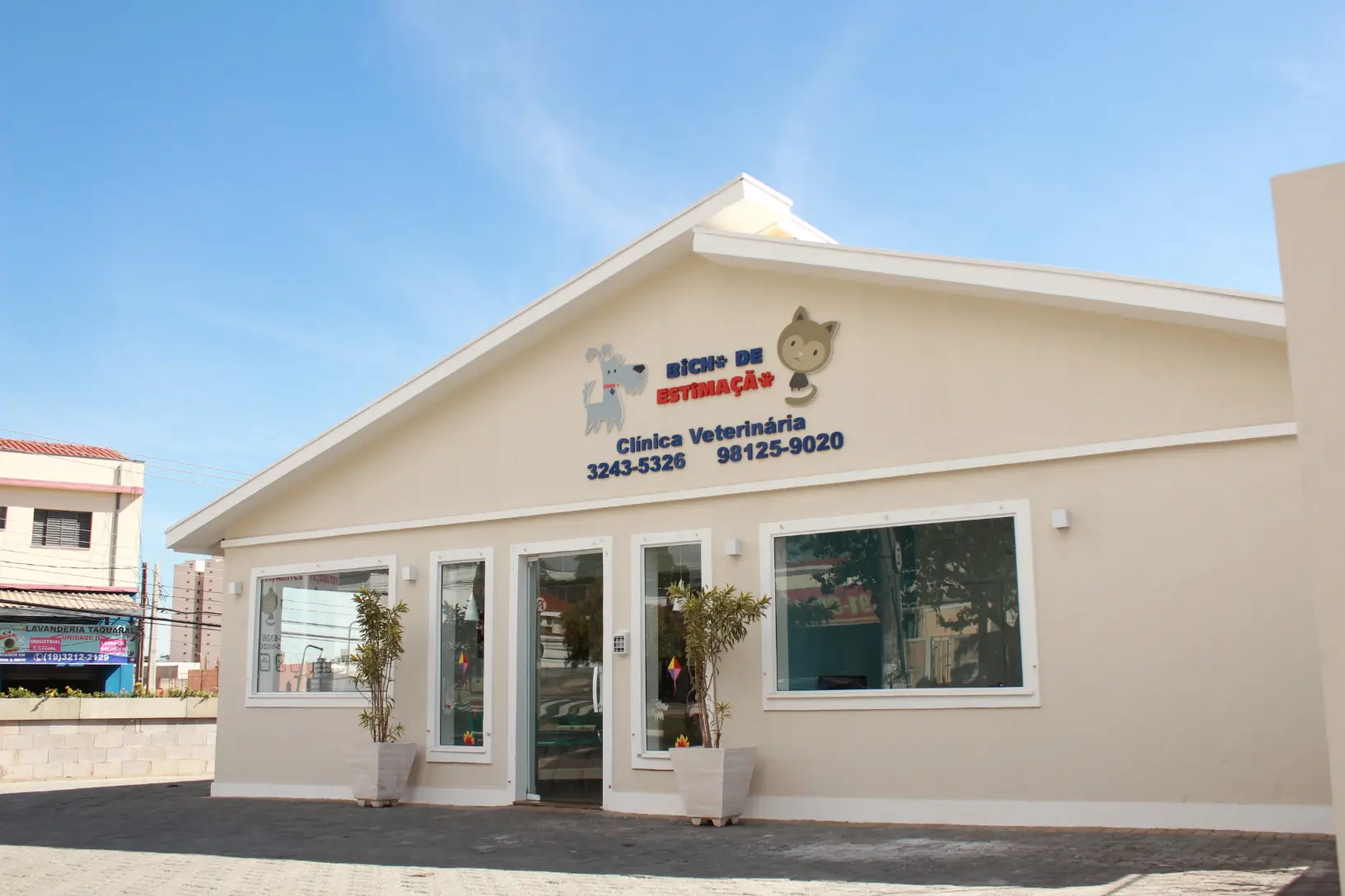 Ortopedia Veterinária em Campinas - Clínica Bicho de Estimação Jardim Chapadão